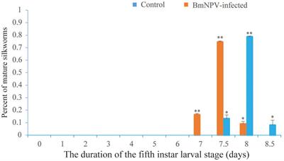 Precocious Metamorphosis of Silkworm Larvae Infected by BmNPV in the Latter Half of the Fifth Instar